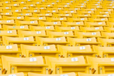 Üniversitesi'nde stadyumda boş sandalye sarı