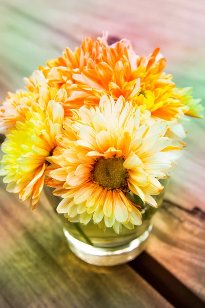 Eine schöne Blume — Stockfoto