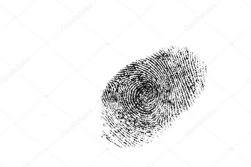 fingerprint isolated on white 