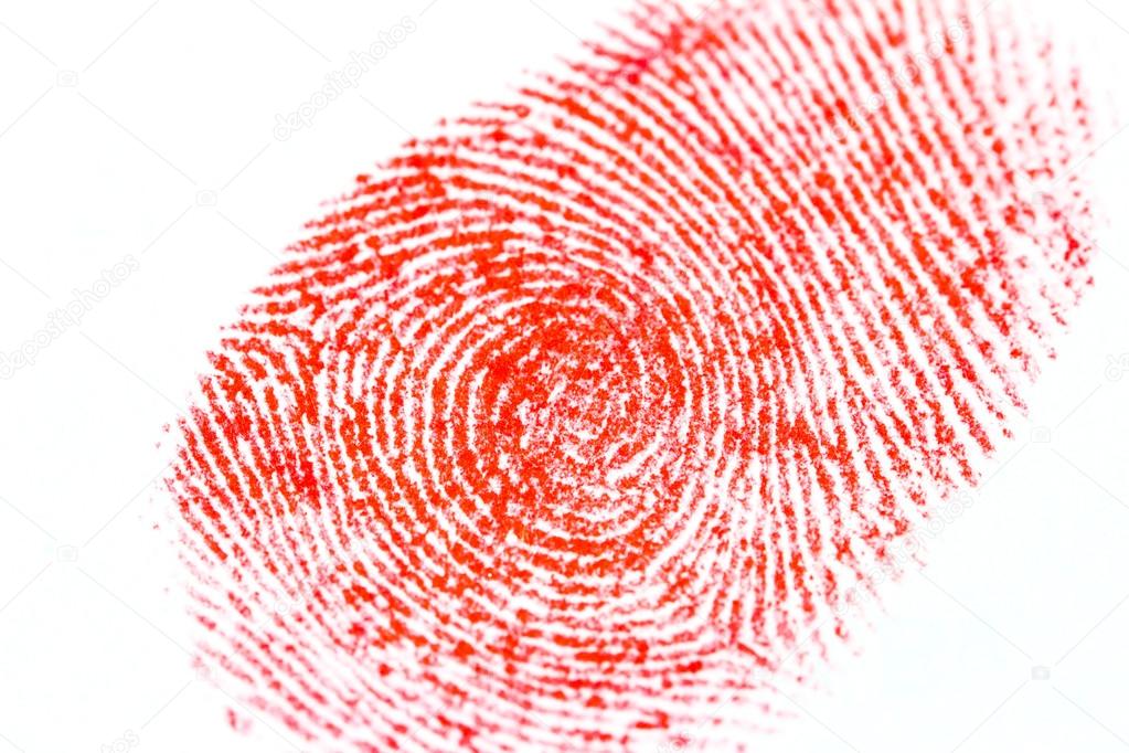 fingerprint isolated on white 