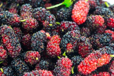 Organik dut kadar kapatın 