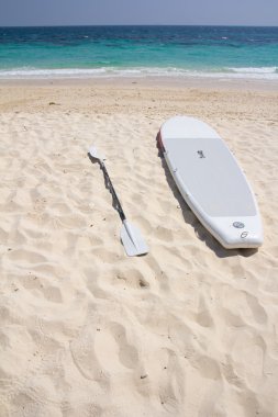 plajda sörf tahtası