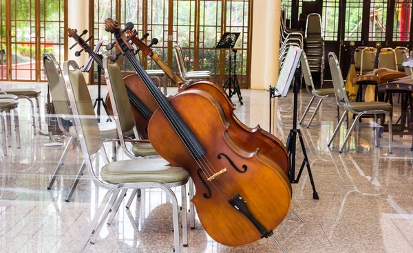 在音乐室里的大提琴 — 图库照片