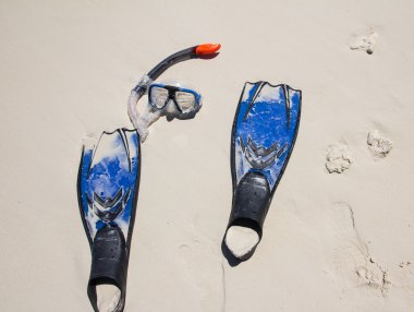 Şnorkelle Dalma siam Körfezi