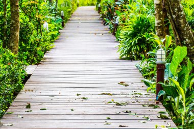 Parktaki tahta köprü.