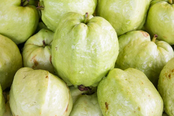 Close up fresh guava — Stock Photo, Image