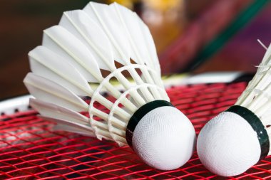 Badminton Raket üzerinde raketle