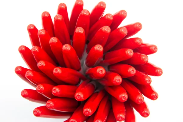 Cerrar pluma roja — Foto de Stock