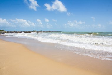 plaj ve tropikal deniz