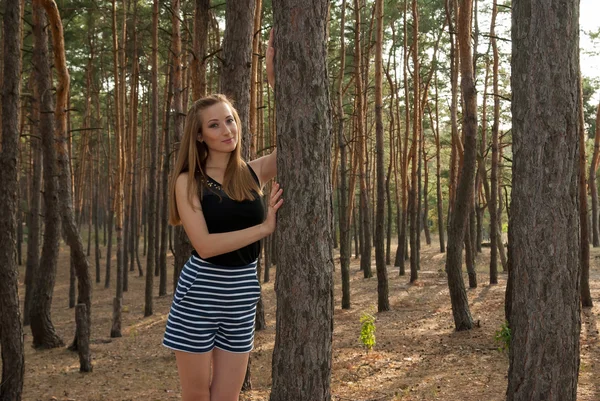 Elegante mujer atractiva en el bosque entre pinos — Foto de Stock