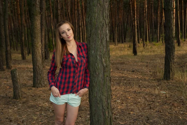 Hermosa mujer delgada en el bosque entre pinos —  Fotos de Stock