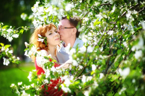 Ungt par promenader i den blommande våren trädgård — Stockfoto