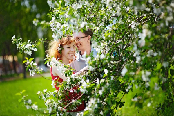 Ungt par promenader i den blommande våren trädgård — Stockfoto