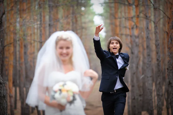 Noiva e noivo andando em uma floresta de pinheiros — Fotografia de Stock