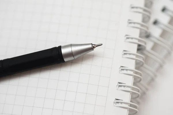 Penna nera sdraiata su notebook da vicino — Foto Stock