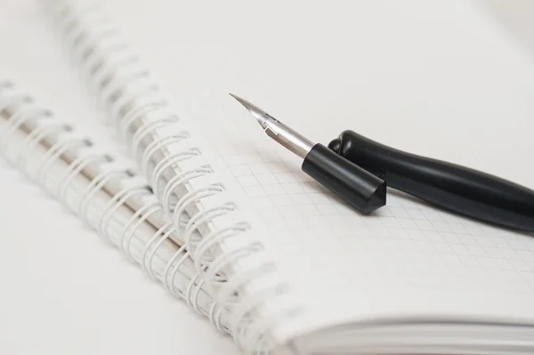 Vintage pennenzak. Oude en gebruikte schrijven pen met inkt metalen kop — Stockfoto