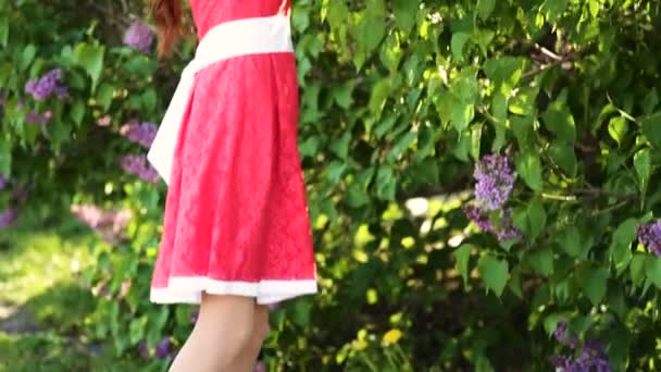 Bella donna vicino all'albero di lilla nel parco primaverile — Video Stock