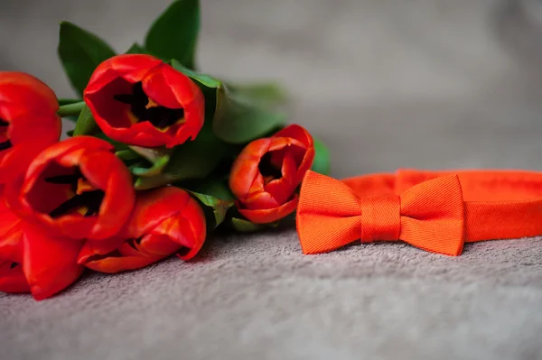 Bouquet of red tulips and bow tie — Stock Photo, Image