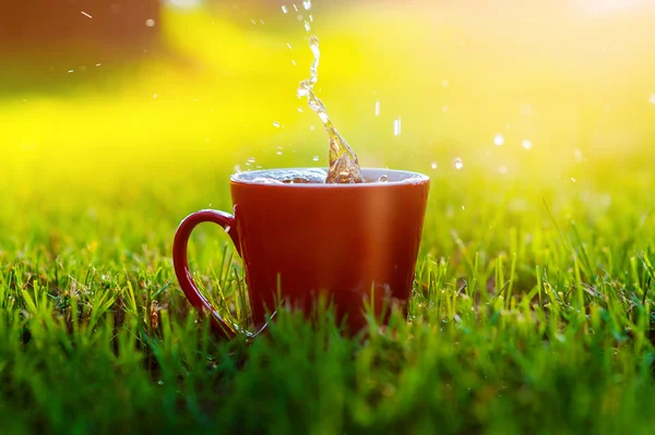 Taza roja de café sobre hierba en el parque —  Fotos de Stock