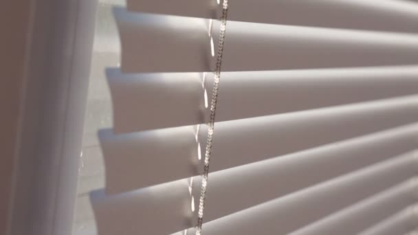 Modern plastic Shutter Blinds in room — Stock Footage Modern plastic Shutter Blinds in room Stock Video