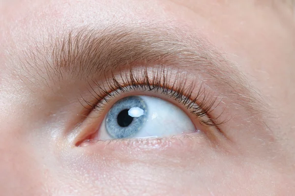 Beautiful blue man eye close up, eyelash extension