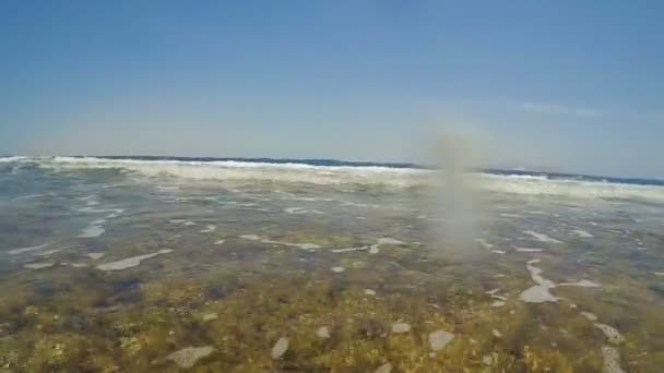 Hermosas olas en el mar en la playa — Vídeo de stock