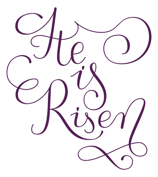 He is risen phrase. Hand drawn easter greeting card.  Modern calligraphy — Stock Vector