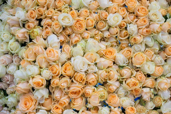 Fond abstrait de fleurs pour mariage Gros plan — Photo
