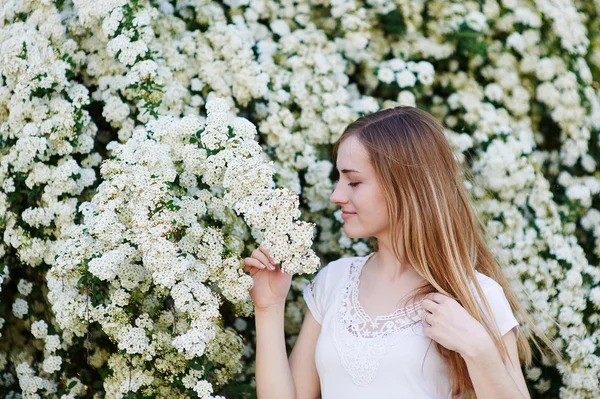 Bela mulher andando no parque perto das árvores de flores brancas — Fotografia de Stock