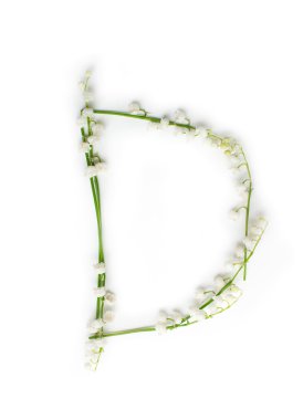 İngilizce alfabe çiçek Mektuplar dan. yaratıcı Dekoratif harf D