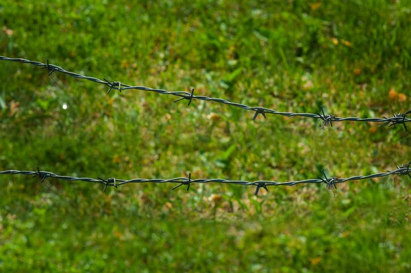 Cerca de alambre de púas y campo de hierba verde —  Fotos de Stock