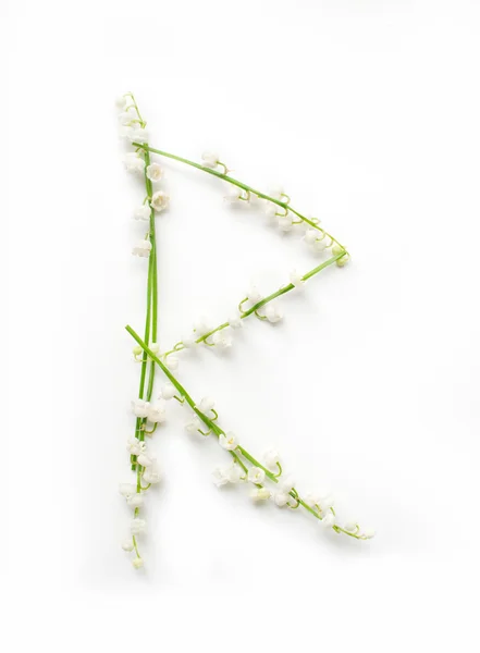 Alfabeto inglés de la letra de flor R — Foto de Stock