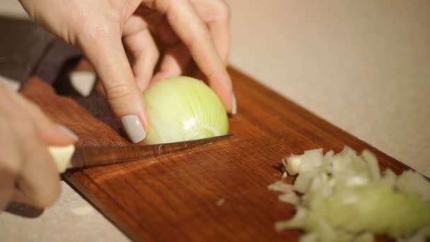 Mãos femininas cortando bulbo cebola — Vídeo de Stock