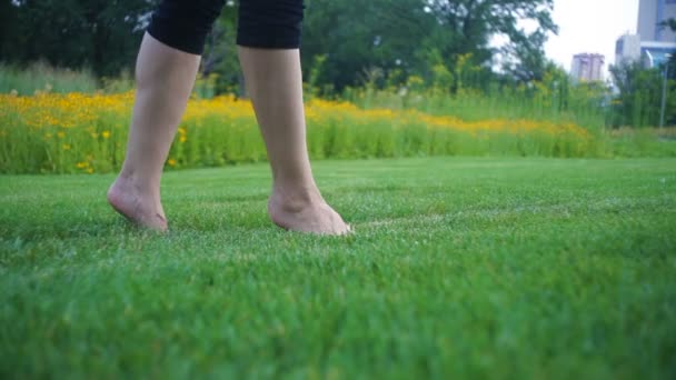 Vacker ung kvinna köra barfota på gräs på sommaren ängen — Stockvideo