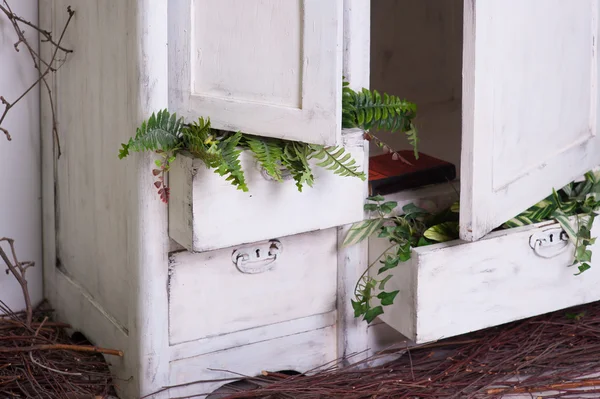 Old decorated wooden white cupboard with plants — Stock Photo, Image