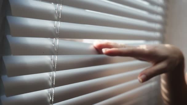 Young man close and open is venetian blinds by the window — Stock Video