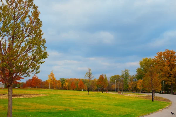 Hermoso callejón de otoño en el parque con árboles de colores —  Fotos de Stock