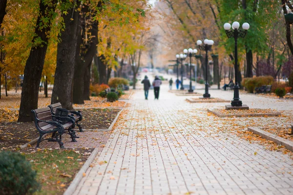 La gente camina en el parque de otoño —  Fotos de Stock