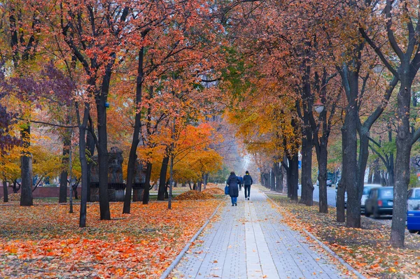 La gente camina en el parque de otoño —  Fotos de Stock