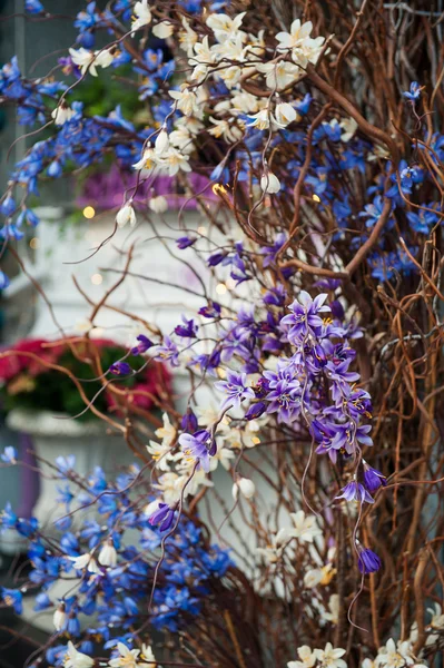 Komposition Dekor von Blumen auf einer Straße in einem Café — Stockfoto