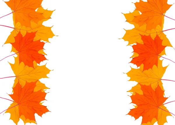 Belo quadro de folhas de outono amarelas com lugar para texto — Fotografia de Stock