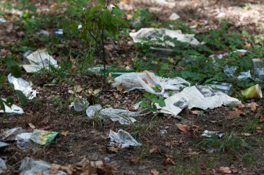 çöplüğü ekoloji ormanda sorunlar