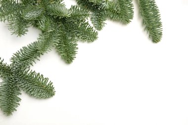 Beyaz bir arkaplan üzerine yazdığınız metin için ayrılmış Noel köknar dalları. Yeni yıl kartı şablonu
