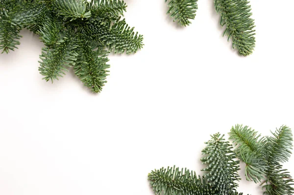 Tannenzweige mit Platz für Ihren Text auf weißem Hintergrund isoliert. Vorlage für Neujahrskarten — Stockfoto