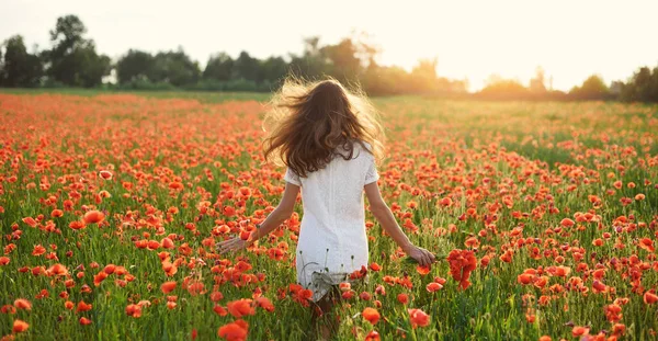 Баннер Молодая красивая женщина с поднятыми руками в соломенной шляпе на весеннем маковом поле. Понятие свободы и счастья летом — стоковое фото