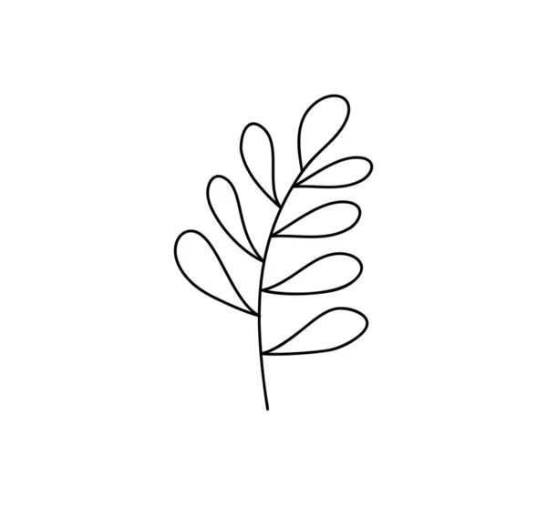Icona della linea vettoriale Spring Leaf Outline. Doodle Spring Concept Minimal Style Illustrazione per la progettazione di libri per bambini o web. Elemento del logo dell'albero — Vettoriale Stock