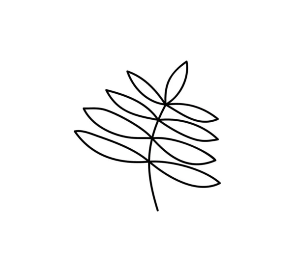 Spring Leaf Outline Icône de ligne vectorielle. Doodle Spring Concept Illustration minimaliste de style pour enfants conception de livres ou web. Élément du logo de l'arbre — Image vectorielle