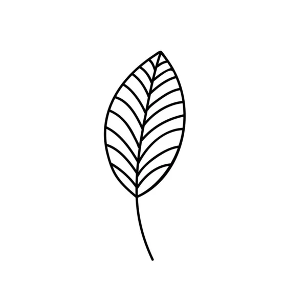 Spring Leaf Outline Vector Line Icon. Doodle Spring Concept Minimal Style Illustration für Kinderbuchdesign oder Web. Element des Baum-Logos — Stockvektor