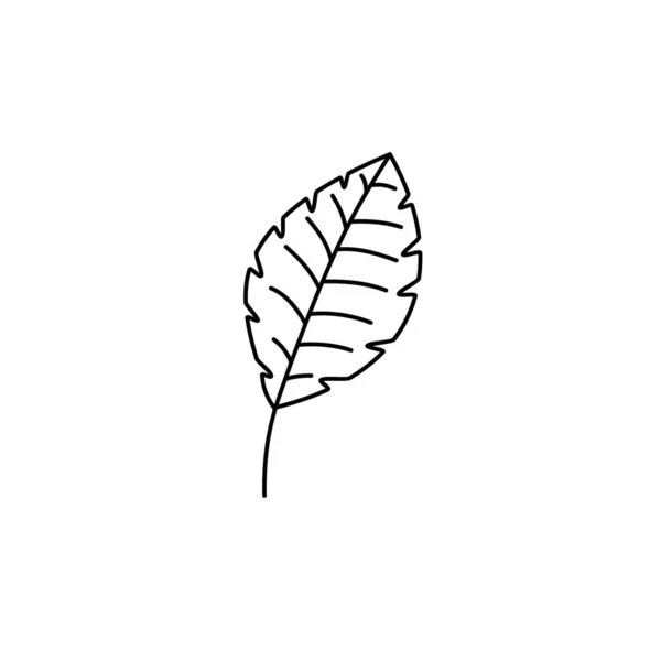 Spring Leaf Outline Vector Line Icon. Doodle Spring Concept Minimal Style Illustration für Kinderbuchdesign oder Web. Element des Baum-Logos — Stockvektor