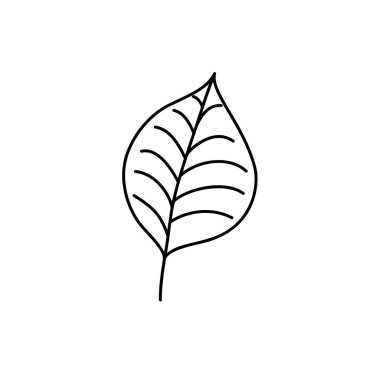 Spring Leaf Taslak Vektör Hattı Simgesi. Doodle Spring Concept Minimal Style Illustration çocuk kitabı tasarımı ya da web. Ağaç logosu elementi